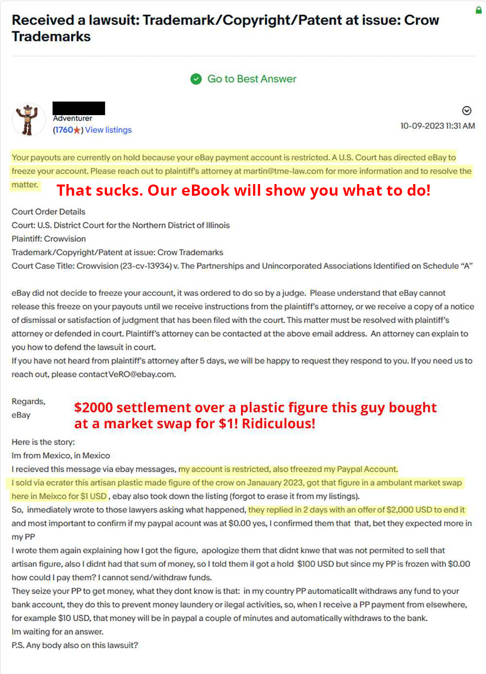 Crowvision sues eBay seller over crow figurine-1